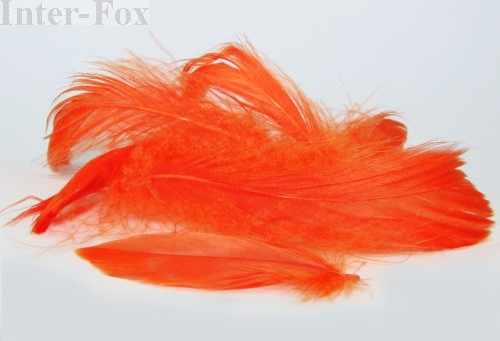 Piórka ozdobne, kolor pomarańczowy -