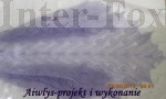 031-1.JPG