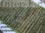 022-1.JPG