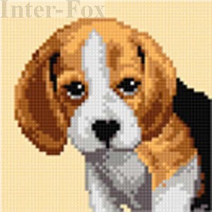 Kanwa 15 x 15 cm, 2720 Beagle.