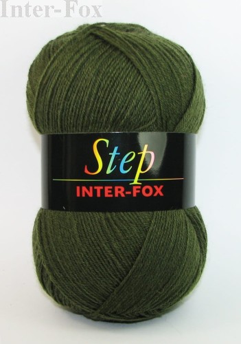 Step kolor 580.JPG