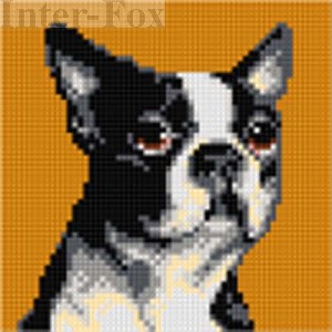 Kanwa 15 x 15 cm, 2719 Boston Terrier.