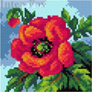 Kanwa 15 x 15 cm, 2755 Mak.